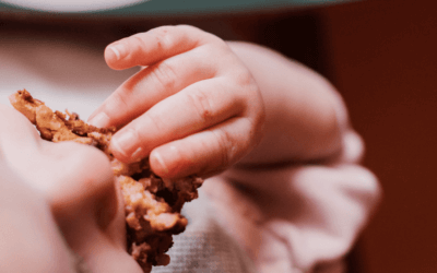 Et si on végétalisait l’assiette des enfants en crèche ?