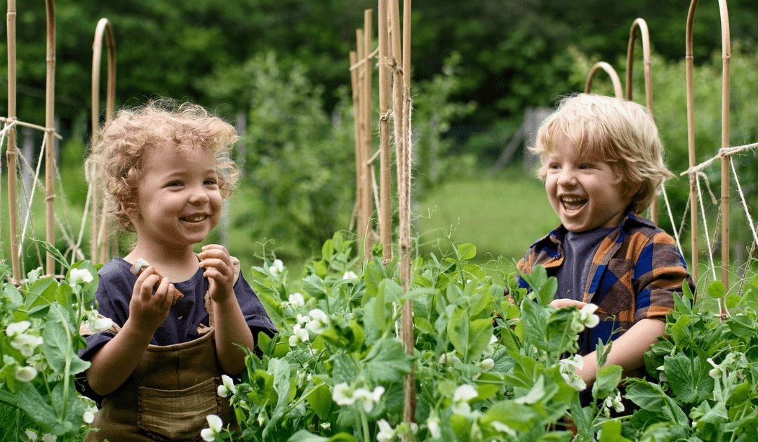 Choisir Ma Crèche et Label Vie renouvellent leur partenariat !