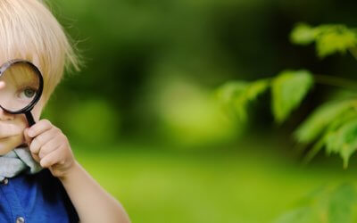 Petite enfance et écologie : les événements à ne pas manquer !