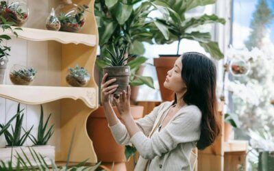 On vous dit tout sur la biophilie !