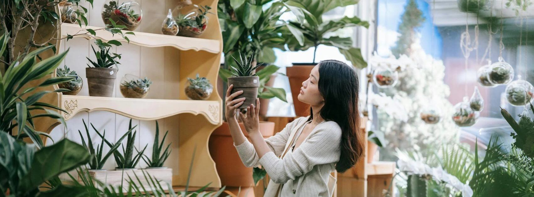 Femme qui regarde des plantes