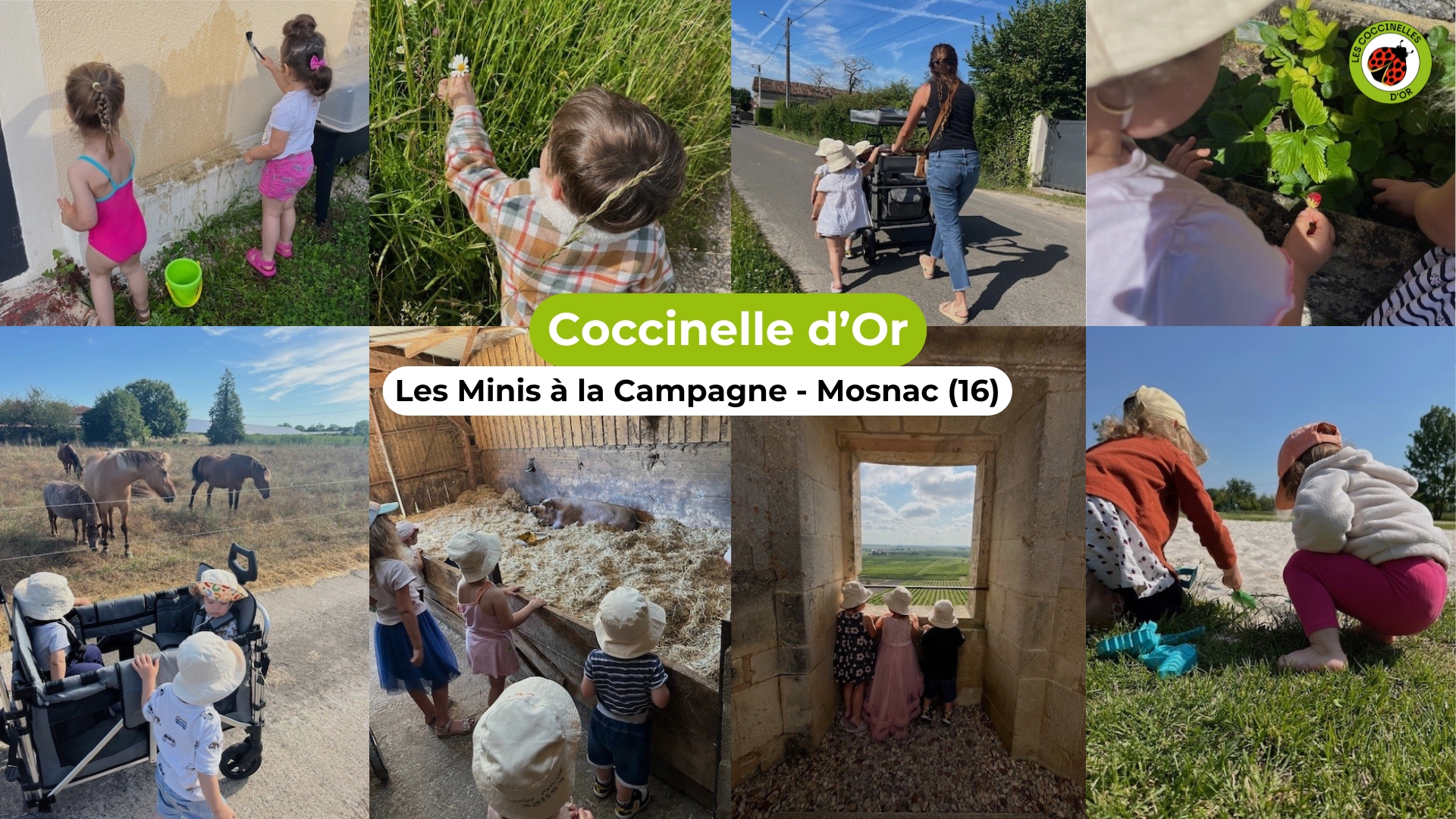 Les Minis à la Campagne - Mosnac (16) - Lauréate des Coccinelles d'Or Les Minis à la Campagne - Mosnac (16)
