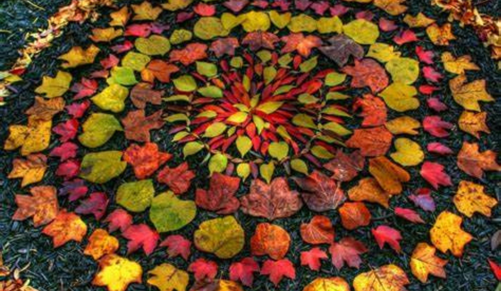 Image article Land'art (7)
