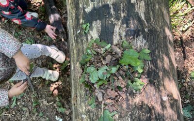 Exploration nature avec les tout-petits : et si on leur lâchait enfin la main ?