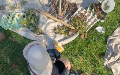 Le Land Art, pratique artistique écologique et sociale