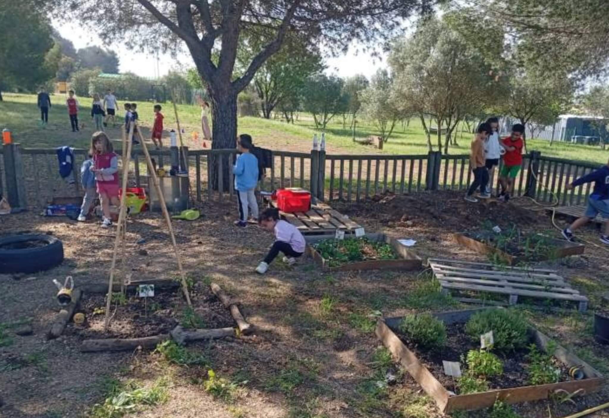 LA CRÈCHE ÉCOLOGIQUE, QU’EST-CE QU’ELLE A DE PLUS ?