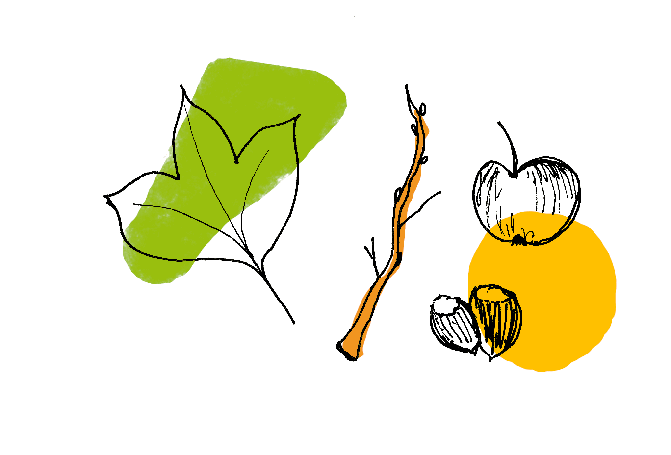 Aller-vers-accueil-plein-air